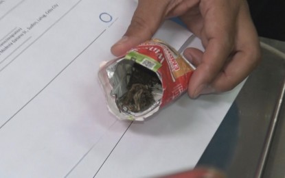 <p><strong>DRIED MARIJUANA.</strong> A cigarette pack with dried marijuana leaves worth PHP50 is confiscated from lawyer Caesar Tabotabo inside the Mactan-Cebu International Airport in Lapu-Lapu City on Friday (Nov. 15, 2019). The Philippine Drug Enforcement Agency held Tabotabo to answer the case to be filed against him.<em> (PNA photo by Fe Marie Dumaboc)</em></p>