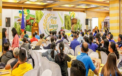 <p><strong>RICE CONGRESS.</strong> More than 200 farmers in the rice sector joined the three-day First Rice Congress in Caraga Region held in Butuan City from November 13-15. Participants to the event were provided with updates on new technologies that are vital to increasing rice production in the region. <em>(Photo courtesy of DA-13 Information Office)</em></p>