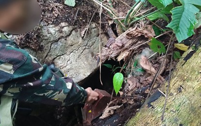 <p><strong>LETHAL WEAPON.</strong> Soldiers and members of Citizens Armed Forces Geographical Unit disable a Claymore-type improvised anti-personnel mine planted by suspected New People’s Army near the farmlands in Barangay Mabuhay, Prosperidad, Agusan del Sur on Sunday (Nov. 17, 2019). The explosive could have caused death and destruction if it was not immediately acted upon, the Army says. (<em>Photo courtesy of the Army's 3rd Special Forces Battalion)</em></p>