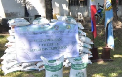 <p><strong>FREE RICE SEEDS.</strong> Free certified seeds distributed by the Philippine Rice Research Institute to Negrense farmers on Tuesday (Nov. 19, 2019). Some 57,000 farmers in Negros Occidental will benefit from the program as part of the implementation of the Rice Competitiveness Enhancement Fund. <em>(Photo courtesy of PIO Negros Occidental)</em></p>