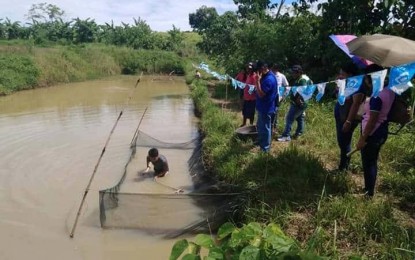<p><strong>AQUACULTURE TECH</strong>. Tilapia producers in Quirino province learn the semi-intensive culture that could boost their production, according to the Bureau of Fisheries and Aquatic Resources 2 (Cagayan Valley). Senior aquaculturist Jennifer Tattao said on Tuesday (Nov. 26, 2019) that fish farmers may now be able to grow tilapia at lower costs by using naturally available food. <em>(Photo courtesy of BFAR-2)</em></p>
