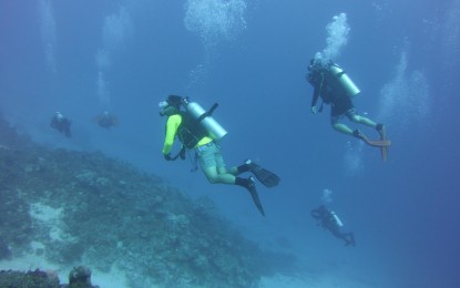 <p><strong>EXPLORATION.</strong> Divers from various groups continue to explore possible diving sites in Mati City, Davao Oriental on Saturday (Nov. 30, 2019). The activity aims to locate areas having rich biodiversity to help promote tourism in Mati City. <em>(Photo from Mati CIO)</em></p>