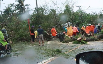 <p><strong>TISOY ONSLAUGHT</strong>. Workers remove fallen trees obstructing a road in Sto. Domingo, Albay as rains continue to fall on Tuesday, Dec. 3, 2019. Typhoon Tisoy made a landfall in Gubat, Sorsogon Monday night.<em> (Photo courtesy of Sto. Domingo Mayor Jun Aguas)</em></p>