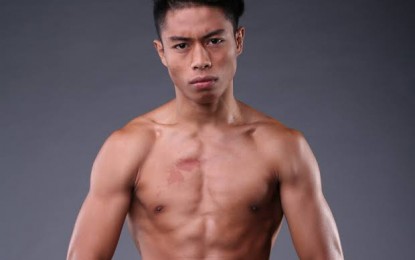 Pinoy boxer wins interim WBC bantamweight belt