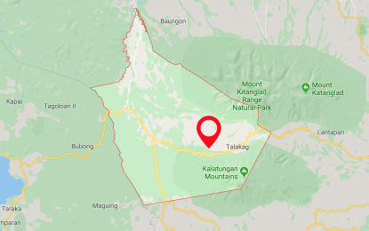 <p>Google map of Talakag town, Bukidnon.</p>