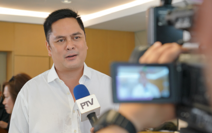 <p>Communications Secretary Martin Andanar</p>