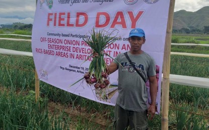 <p><strong>GOOD HARVEST</strong>. Farmer Diony del Campo proudly shows a bundle of onions that is part of his harvests in Barangay Banganan, Aritao, Nueva Vizcaya on Tuesday (Dec. 24, 2019). Del Ocampo, who planted during off-season, says this scheme has reaped more income for onion farmers in the landlocked upland town.<em> (Photo courtesy of DA-Nueva Vizcaya)</em></p>