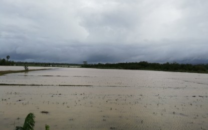 <p><strong>SWAMPED.</strong> A flooded rice field in Dagami, Leyte after the onslaught of Typhoon Ursula.  In its latest monitoring bulletin on Friday afternoon (Dec. 27, 2019), the Department of Agriculture placed initial agricultural damage and losses brought about by the typhoon at PHP633.72 million.<em> (PNA photo by Sarwell Meniano)</em></p>