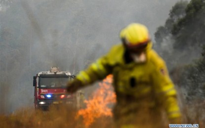 <p>Photo taken on Nov. 11, 2019 shows the bushfire in Taree in New South Wales, Australia. Australian Minister of Environment Sussan Ley on Monday warned that koalas could be listed as an endangered species as a result of bushfires. <em>(Photo courtesy by Xinhua/Bai Xuefei)</em></p>