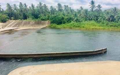 <p><strong>RIVER MANAGEMENT.</strong> The Daguitan River in Burauen, Leyte, one of the main sources for irrigation in central Leyte. The river system is one of the identified areas for long-term management and development. <em>(Photo courtesy of Burauen local government)</em></p>