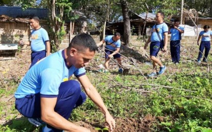 <p><strong>SWEATING IT OUT.</strong> In this file photo, police officers in North Cotabato plant trees as part of a wellness program that seeks to encourage health and fitness. Aside from tree-planting, the province's policemen are also into “Zumba” and sports activities to lose weight and meet the Philippine National Police’s body mass index requirement. <em>(Photo courtesy of NoCot PPO)</em></p>