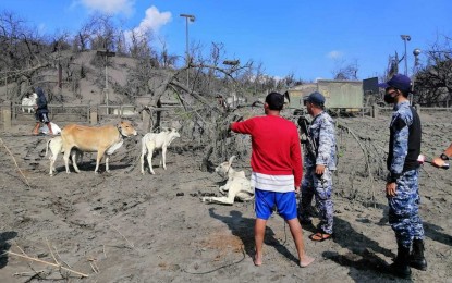 <p><strong>RESCUING FARM ANIMALS. </strong> Personnel from the Philippine Coast Guard's (PCG) Task Force Taal in Southern Tagalog assist a civilian who sneaked inside the Taal Volcano Island to rescue farm animals on Monday (Jan. 27, 2020). The PCG said members of Task Force Taal were on patrol to install buoys marking the 7-kilometer danger zone around the island when they encountered the civilian. (<em>Photo courtesy of PCG</em>)  </p>