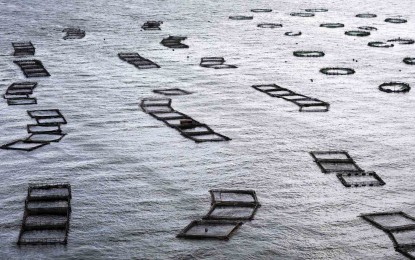 <p>Taal Lake fish cages (<em>PNA photo by Joey Razon</em>) </p>