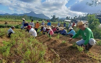 <p><strong>AGRI TECHNOLOGY.</strong> Villaconzoilo village farmers in Jaro, Leyte share expertise in crop production to learners from different parts of Leyte province. The village is a former rebel-infested village awarded as the 2019 Best Community Empowerment through Science and Technology in the Philippines. <em>(Photo courtesy of Villaconzoilo Farm School)</em></p>