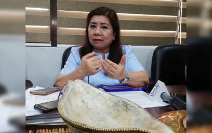 <p><strong>PANAY EXPRESSWAY.</strong> Businessmen in Panay are pushing for an expressway that would connect the provinces of Iloilo, Capiz, and Aklan, Ro-Ann Bacal, director of the National Economic and Development Authority (NEDA) 6 (Western Visayas), says on Thursday (Feb. 6, 2020). The expressway is seen to efficiently deliver goods and reduce travel costs.<em> (PNA file photo)</em></p>