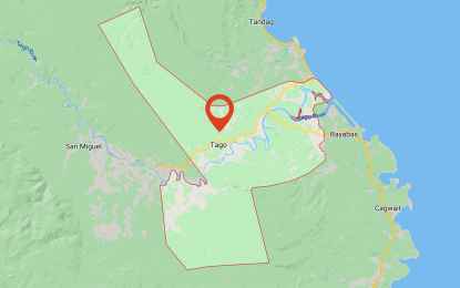 <p>Google map of Tago town, Surigao del Sur.</p>