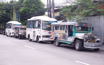 <p><strong>PUBLIC TRANSPORT.</strong> A couple of modern jeepneys and traditional ones parked along the side of a street in Metro Manila. The Department of Transportation (DOTr) on Thursday (April 30, 2020) said that beginning Friday (May 1), public transportation will be allowed in areas under a General Community Quarantine (GCQ) following adherence to certain guidelines.<em> (PNA file photo)</em></p>