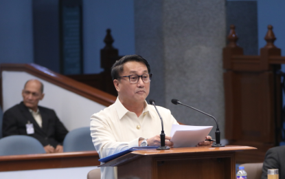 <p>Senator Francis Tolentino<em> (PNA File photo)</em></p>