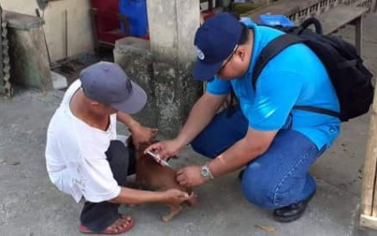 <p><strong>ANTI-RABIES.</strong> Dr. Marco Rafael Ardamil (right) of the Provincial Veterinary Office says they have received 50 vials of anti-rabies vaccine from the Department of Agriculture (DA). He said local government units are encouraged to allocate funds for their anti-rabies vaccine since the DA provision is not enough. <em>(Photo courtesy of ProVet)</em></p>