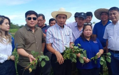 <p><strong>EDAMAME HARVEST</strong>. Department of Agriculture Secretary William Dar (center) leads the harvest of edamame or young soybean in Barangay Talipapa, Cabanatuan City, Nueva Ecija on Tuesday (Feb. 25, 2020). This is the first harvest of edamame in the country. <em>(Photo by Joel Mapiles)</em></p>
<p> </p>