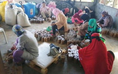 <p><strong>MUSHROOM PRODUCTION.</strong> Bangsamoro women from various Muslim organizations in the City of Mati, Davao Oriental, train on mushroom production of the City Agriculture Office on Wednesday (February 26). The training was made possible by the City of Mati in partnership with the Department of Agriculture in Region 11.<em> (Photo courtesy of Mati CIO)</em></p>