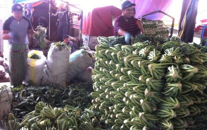 <p><strong>FRESH VEGETABLES</strong>. Retail traders at the vegetable trading post in La Trinidad Benguet continue their daily routine of selling their produce locally and to different parts of the country. The prices of vegetables have dropped due to the lack of demand as an effect of the 2019 coronavirus disease scare when festivals and crowd-drawing events were either suspended or canceled. <em>(PNA file photo by Liza T. Agoot)</em></p>