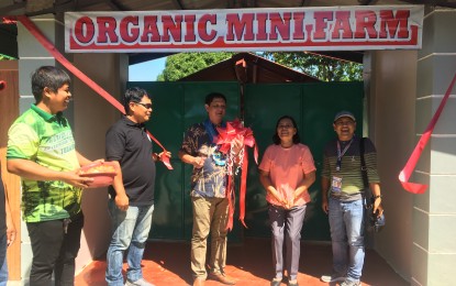 <p><strong>ORGANIC FARM.</strong> The Barong Elementary School in Dingras, Ilocos Norte launches a mini organic farm where they grow high-value crops and vegetables, free-range chicken, organic pigs and fish among others, on Friday (Feb 28, 2020). The same school recently won in the province-wide search for the cleanest and greenest school in Ilocos Norte as they lead the way in organic healthy living.<em> (Photo by Leilanie G. Adriano)</em></p>