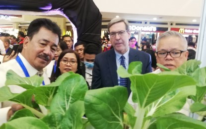 <p><strong>RESEARCH PRODUCTS.</strong> CHED chair Dr. Prospero de Vera III, Rizal Technological University vice-chair Dr. Maria Eugenia Yanco, Canadian Ambassador to the Philippines Peter McArthur, and DTI Secretary Ramon Lopez check out an urban gardening idea that encourages city dwellers to grow their own food even in tight spaces. The display is only one of the many other innovative ideas featured in the first State Colleges and Universities fair being held at the Activity Center of TriNoma Ayala Malls until Wednesday (March 11, 2020). <em>(PNA photo by Christine Cudis)</em></p>