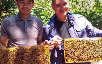 <p><strong>BEES PARTNER</strong>. Tristan Apiles (left) and Antonio Mendoza lift a hive from their colonies of bees at the Botanical Garden in Baguio where they produce more than a ton of the honey that is used as the base for their honey wine or mead. The Green Leaf Concepts, Services and Products also produces strawberries that flavor the honey wine as well as highland vegetables like lettuce, cucumber and cherry tomato. <em>(PNA photo by Pigeon Lobien)</em></p>
