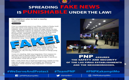<p><strong>FAKE NEWS.</strong> An infographic of the Philippine National Police says recent reports of theft and robbery that went viral on social media turned out to be a hoax. The PNP Anti-Cybercrime Group is now tracing the source of these reports which induce unnecessary panic among the public. <em>(Graphics courtesy of PNP)</em></p>