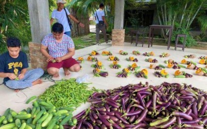 <p><strong>HEALTHY FOOD RATION.</strong> Local government workers of Datu Anggal Midtimbang, Maguindanao prepare vegetables to be given to residents affected by the community quarantine due to the coronavirus disease 2019 on Monday (March 30, 2020). Municipal Mayor Mary Joy Midtimbang describes the project as hitting two birds with one stone – income for local farmers and healthy and nutritious food for the people. <em>(Photo courtesy of DAM LGU)</em></p>