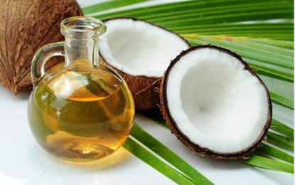 Virgin coconut oil helps in mild Covid-19 relief