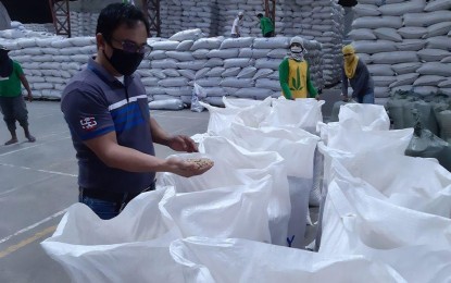 <p><strong>AMPLE SUPPLY OF RICE</strong>. Isabela province has at least 500,000 bags of palay and 10,000 sacks of rice, enough to supply the residents until after the enhanced community quarantine is lifted. National Food Authority provincial manager Elimar Regindin (in photo) gave the assurance as he inspects the palay at a warehouse in the province on Wednesday, April 1, 2020.<em> (Photo courtesy of NFA-Isabela)</em></p>