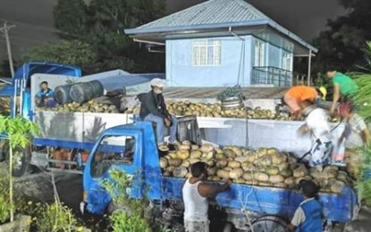 <p><strong>TRUCKLOADS OF SQUASH.</strong> A total of 17,000 kilos of the summer squash, the yellow variety of squash is unloaded from a truck which was donated by a group of persons from Apayao as their way of giving back to Tabuk City that sent them thousands of sacks of rice when they were suffering due to non-stop rains in last quarter of 2019. The donors called themselves KaraBasa the Ilocano word for squash which they coined as an acronym for "Karamay ng Bayan Sa Aksyon Covid-19".<em> (PNA photo courtesy of the provincial government of Kalinga)</em></p>