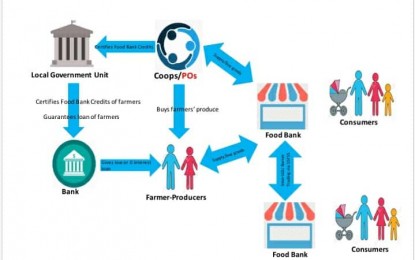<p>Food Bank Concept <em>(Graphics and illustration by MinDA) </em></p>