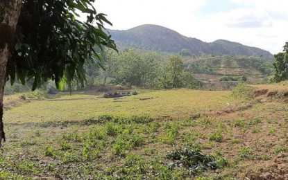 <p><strong>AMBUSH SITE.</strong> The site where government troops were reportedly ambushed by communist-terrorists of the New People's Army in Sitio Tugas, Barangay Carabalan in Himamaylan City, Negros Occidental on Sunday (April 19, 2020). Three soldiers of the Philippine Army's 94th Infantry Battalion were killed while four others were wounded. <em>(Photo courtesy of 303rd Infantry Brigade, Philippine Army)</em></p>