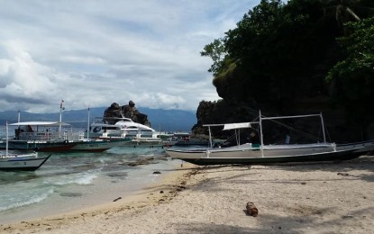 <p>The world-renowned dive destination Apo Island in Dauin, Negros Oriental. <em>(Photo by Judy Flores Partlow)</em></p>