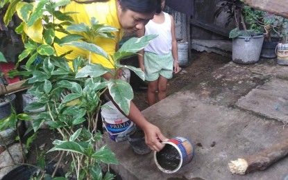 <p><strong>TIDYING UP.</strong> A resident of Iloilo province gets rid of water in a container, which can be a potential breeding place of dengue-carrying mosquitoes. The Iloilo Provincial Environment and Natural Resources Office on Tuesday (May 5, 2020) urged Ilonggos to continue their cleanup activities at home as they observe enhanced community quarantine.<em> (Photo courtesy of Nygiel Momblan)</em></p>