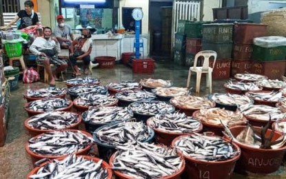 Fish best protein source amidst rising food prices