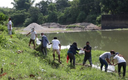 BFAR repopulates Bataan dam with 105K fingerlings | Philippine News Agency