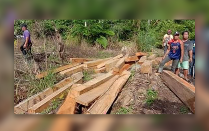 <p><strong>HOT LOGS.</strong> Some 4,745 board feet of lauan flitches with a total market value of PHP118,625 are seized by authorities during a search and retrieval operation in Sitio Kosep, Barangay Bayugan 3, Rosario, Agusan del Sur on Friday (May 15, 2020). Environment officials cited the support of the police and the military in their enforcement activities. <em>(Photo courtesy of DENR-13 Information Office)</em></p>