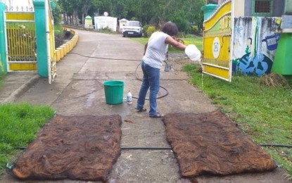 <p><strong>TO FIGHT THE VIRUS.</strong> A woman pours disinfectant on two road ramp sanitizers produced by Shared Service Facility program beneficiaries of the Department of Trade and Industry and donated to Sebaste town in Antique. The LGU makes use of coconut coir as road ramp sanitizers at the border checkpoints to prevent the spread of the coronavirus disease. <em>(Photo courtesy of DTI Antique)</em></p>