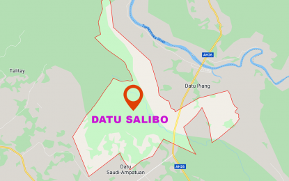 <p>Google map of Datu Salibo, Maguindanao province.</p>