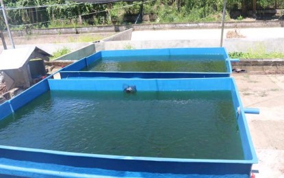<p><strong>FISH IN TANK</strong>. A fiberglass tank set up by the Bureau of Fisheries and Aquatic Resources (BFAR) in Tacloban City. BFAR is promoting intensive tilapia production in tanks in a bid to boost fish production even in urban areas. <em>(Photo courtesy of BFAR)</em></p>