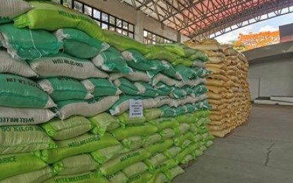 <p><strong>DONATION</strong>. Some 4,000 bags of 50-kg. well-milled rice will be repacked at the local food terminal in San Miguel, Iloilo. The 200 metric tons of rice supply purchased by the Korea International Cooperation Agency will be donated to the national government in support of its relief efforts, the Western Visayas agriculture office said on Thursday (June 18, 2020).<em> (PNA photo by DA-6 RAFIS)</em></p>