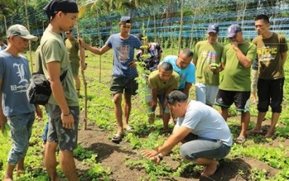 <p><strong>FARMING TECHNIQUES.</strong> Junie Ellevera Awa (sitting, center) a vegetable farm owner in Barangay Malapong, Buenavista in Agusan del Norte, shares his knowledge and expertise on vegetable farming to the 20 former rebels during the two-day exposure and educational tour on Wednesday (June 17, 2020). The activity is spearheaded by the Army's 23rd Infantry Battalion. <em>(Photo courtesy of 23IB)</em></p>
<p> </p>