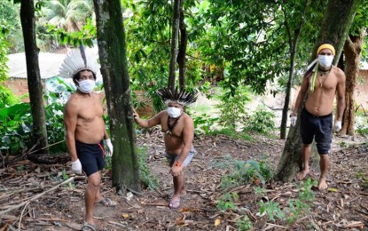 Covid-19, deforestation cripple life in Amazon