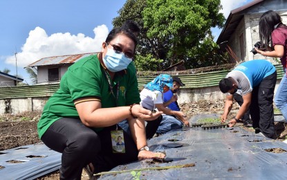 <p><br /><strong>URBAN GARDENING</strong>. Officials of the Department of Agriculture in Western Visayas lead the ceremonial planting of vegetables at the NFA regional office's launching of the “Plant, Plant, Plant” program of the DA on Tuesday (June 23, 2020). The activity also marked the celebration of the department’s 122nd founding anniversary. <em>(PNA photo by DA RAFIS)</em></p>
<p> </p>