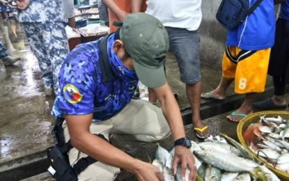 <p><strong>DYNAMITE FISHING</strong>. A fish examiner of the BFAR 6 (Western Visayas) Fishery Resource Protection Group checks the seized yellowtail scad in a fish landing port in Sibucao, Barangay Banago in Bacolod City. Five boxes of the fish confiscated on Friday morning (June 26, 2020) were confirmed to have been caught through dynamite fishing. <em>(Photo courtesy of Philippine Coast Guard - Negros Occidental)</em></p>