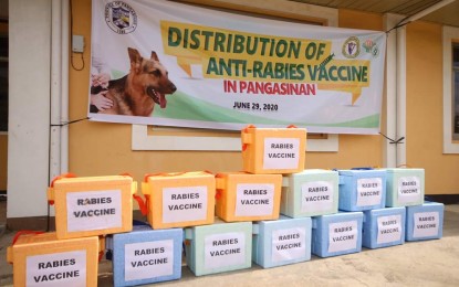 <p><strong>ANTI-RABIES.</strong> The provincial government of Pangasinan distributes rabies vaccines to local government units that have recorded cases this year. The distribution was held on June 29, 2020. <em>(Photo courtesy of Province of Pangasinan)</em></p>